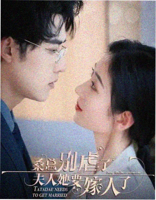 剧集旧城灯火封面图